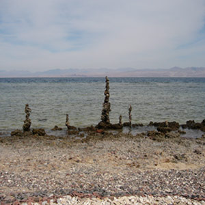 yaron peer